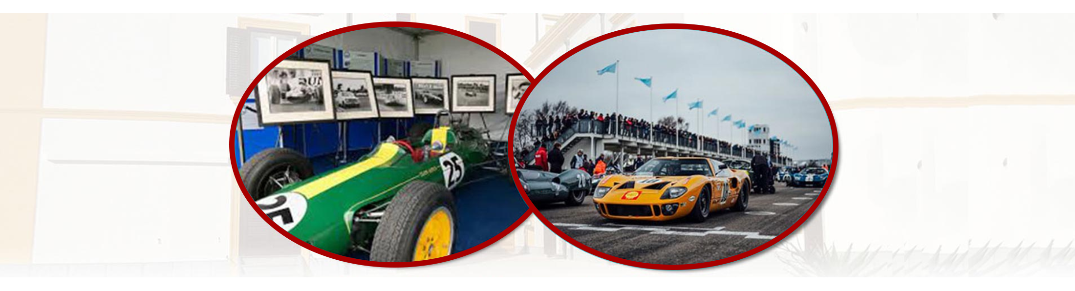 Goodwood Members Banner